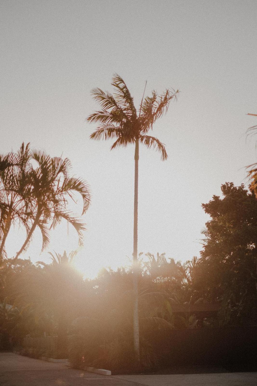 Hotel The Bower Byron Bay Esterno foto